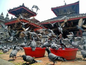 kathmandu durbar square