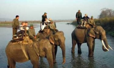 chitwan National Park