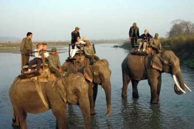 chitwan National Park