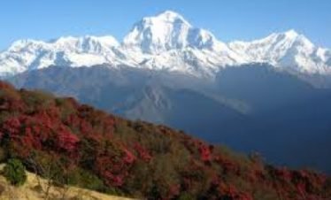 Ghorepani Circuit Trekking in Nepal-10,Days.