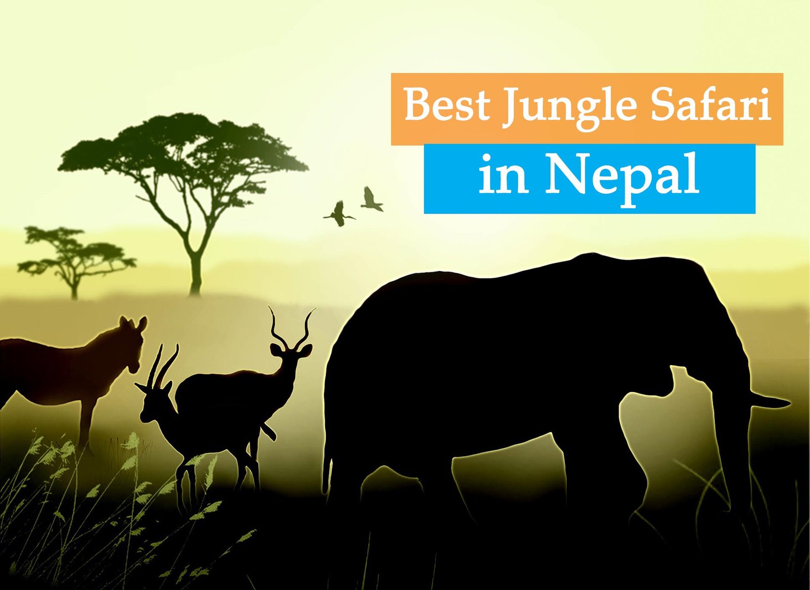 best jungle safari in Nepal